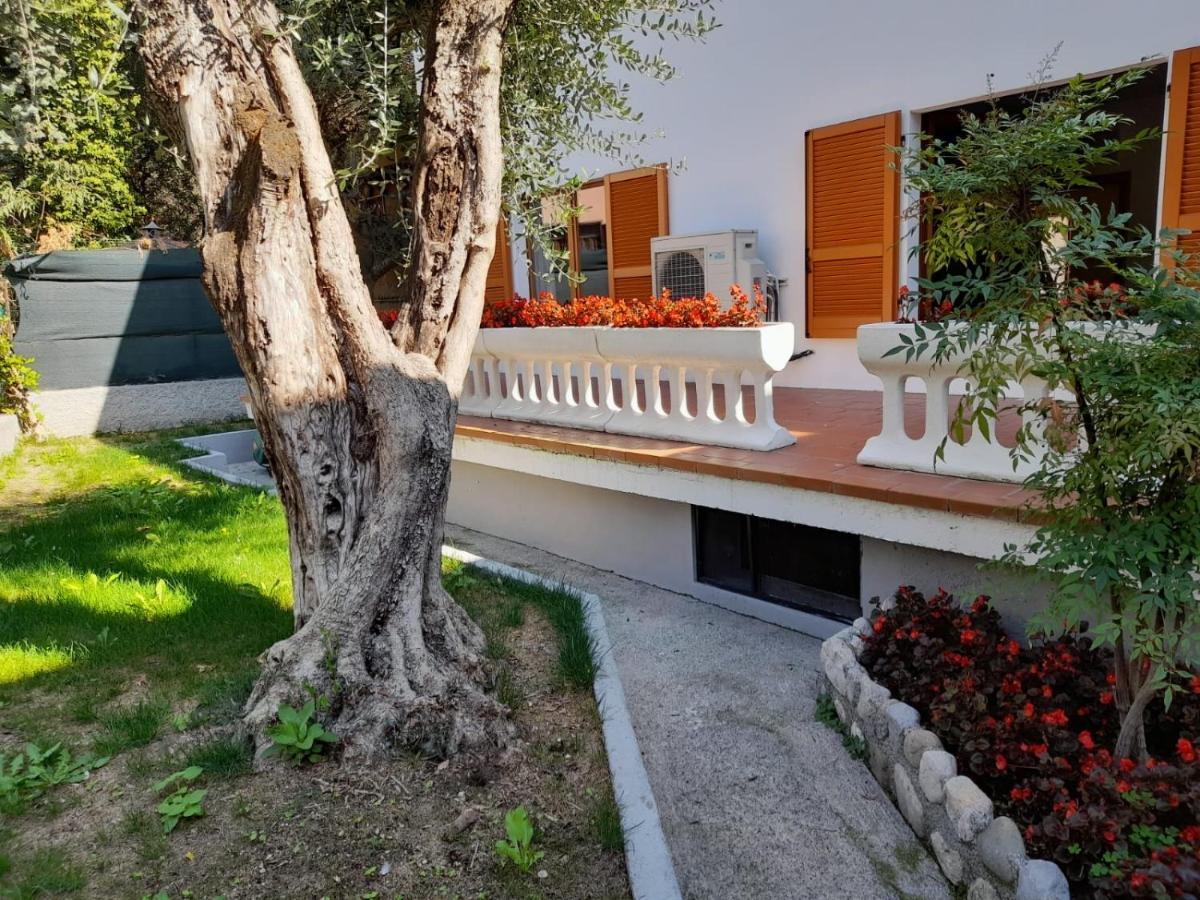Apartament Casa El Paso Padenghe sul Garda Zewnętrze zdjęcie