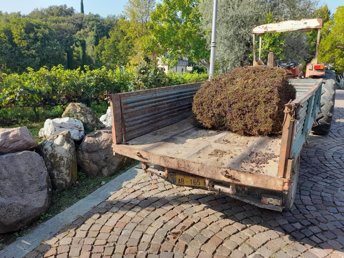 Apartament Casa El Paso Padenghe sul Garda Zewnętrze zdjęcie